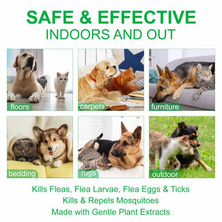 Pet Care Flea&Tick Spray