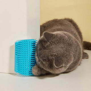 Cat Massage Comb Pet Brush