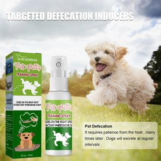 Pet Toilet Training Spray