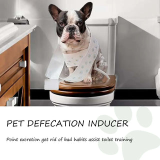 Pet Toilet Training Spray