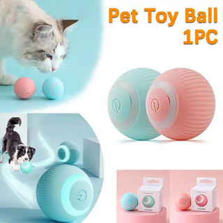 Pet Interactive Ball Toy