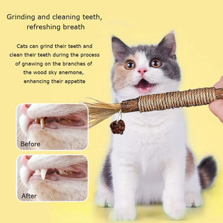 Pet Cleaning Snacks Sticks